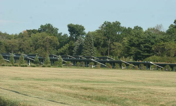 Solarpanele in einem Solarparks